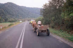 Traditional agricultural horse drawn cart
