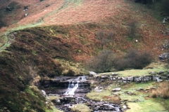 Nant Bwch