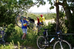Typical field boundary, even though its supposed to be a bridleway