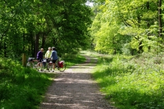 Forest of Dean