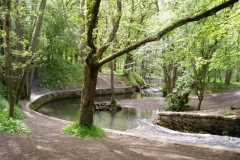 Forest of Dean