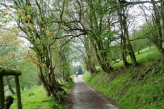 Into Gladestry
