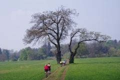 Near Ettington