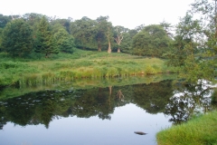Bradgate Park