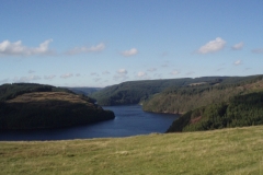 Llyn Brianne
