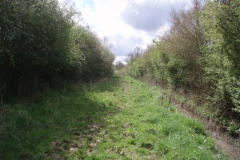 A rarely ridden bridle path