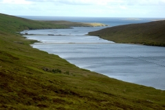 Sullom Voe