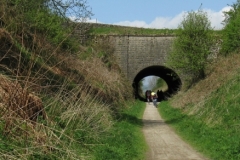 Bridge at Gotham