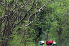 Swainsley Woods, Manifold Trail