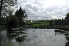 Tissington duck pond