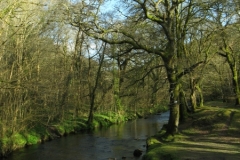 River Tavy