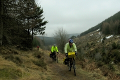 Hafren Forest