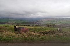 New Mills