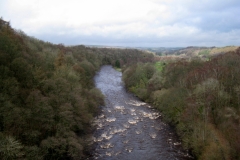 River South Tyne from Lamley Viaduct