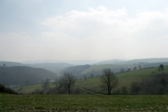 Clun Forest
