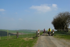 Clun Forest
