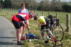Ann's puncture