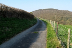 Near Abbeycwmhir