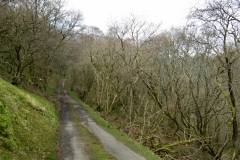 Wye Valley road to Llanidloes