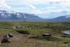 A trekking tour arriving at Árbúðir