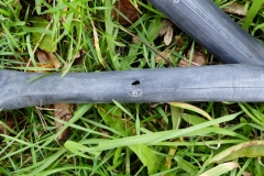 How's that for a hole