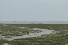 Estuary of La Vire