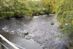 River Elan