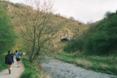 River Dove