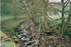 Manifold Valley