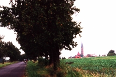 Country lane lined with trees loaded with apples