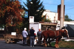 Traditional agricultural horse band cart