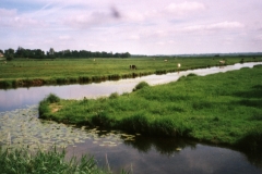 Pastureland near Bayeux