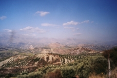 Agriculture