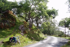 Near the Ulva Ferry, West coast of Mull