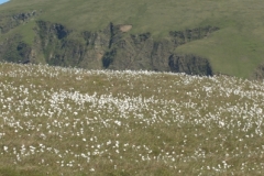 The most northerly point on Unst