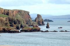 Sea stacks