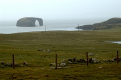 Dore Holm