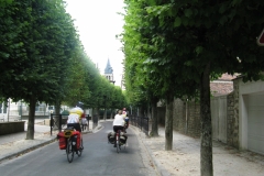 Classic tree lined French road
