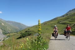 Sheila and Denis climbing beside a yellow gentian