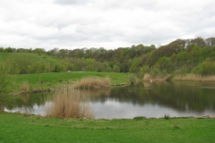 Cycle Path in Consett
