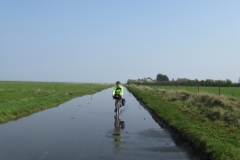 You know that's salt water, Ann