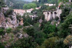 Molito