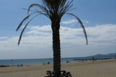 Bikes parked on the beach at St.Cyprien