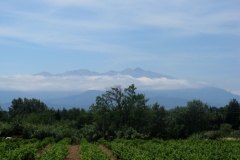 Rousillon from Agly Valley