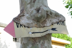 Overgrown sign