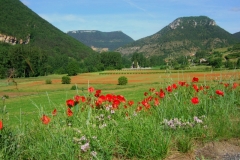 Leaving the gorge