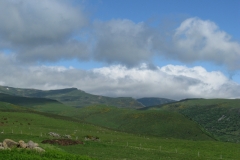 Plomb du Cantal