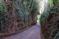 Nynehead Gorge