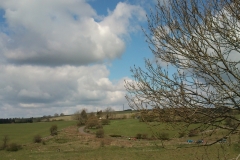 Mendips