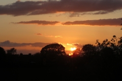 Seaton Sunset